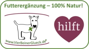 Read more about the article <strong>Einladung an alle Hundebesitzer – neuer VfB-Sponsor VierBeinerGlück</strong>