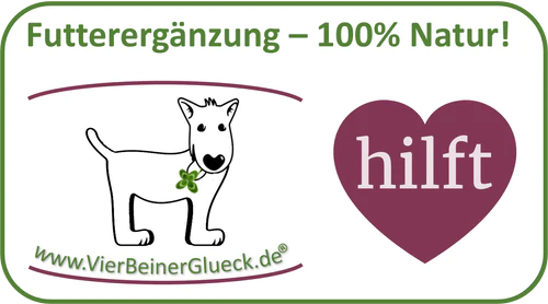 Read more about the article <strong>Einladung an alle Hundebesitzer – neuer VfB-Sponsor VierBeinerGlück</strong>