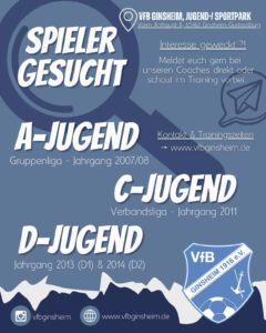 Mehr über den Artikel erfahren VfB-Jugend – Spieler gesucht