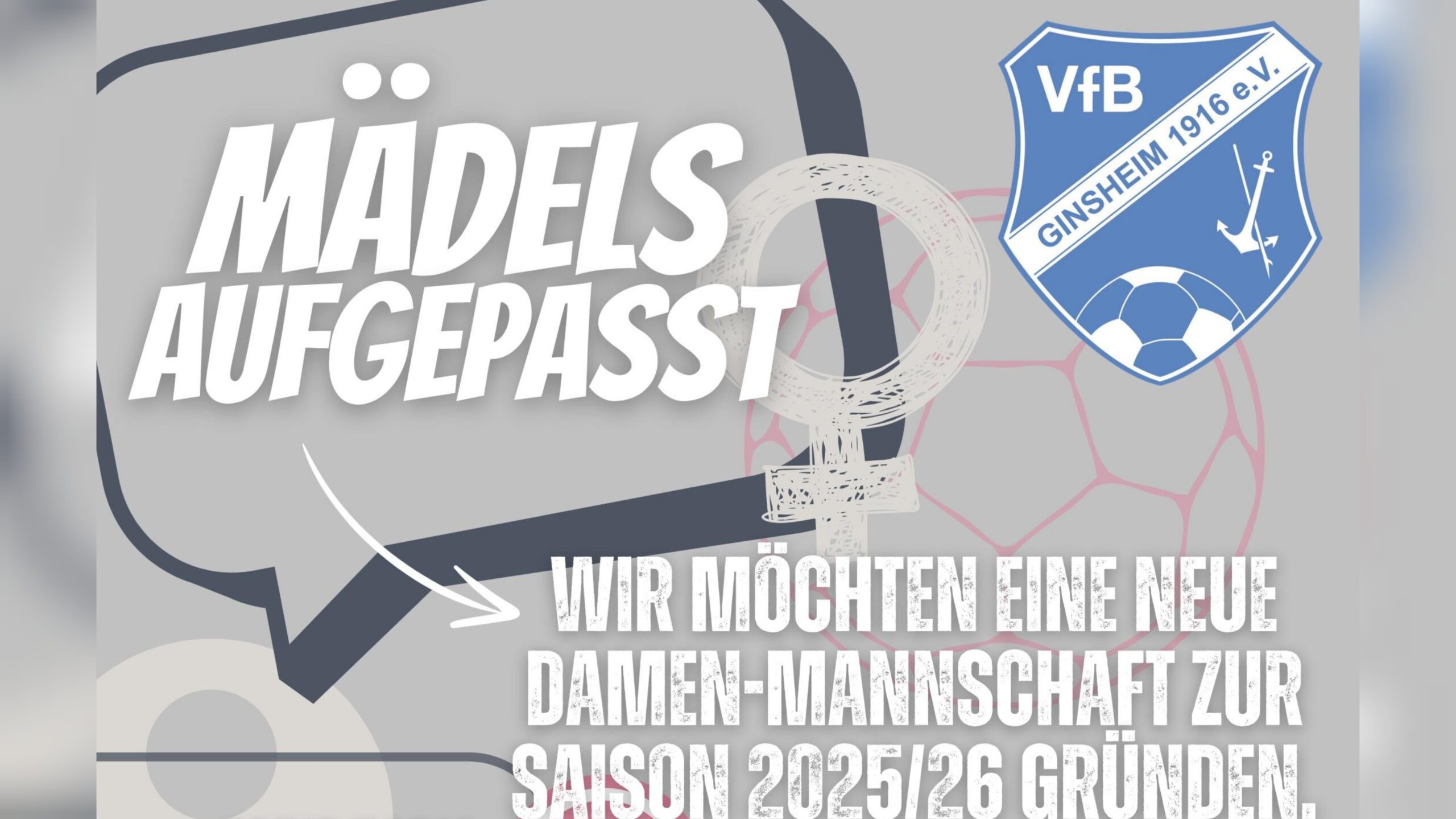 Mehr über den Artikel erfahren Mädels gesucht – VfB möchte Damenmannschaft zur Saison 2025/26 gründen
